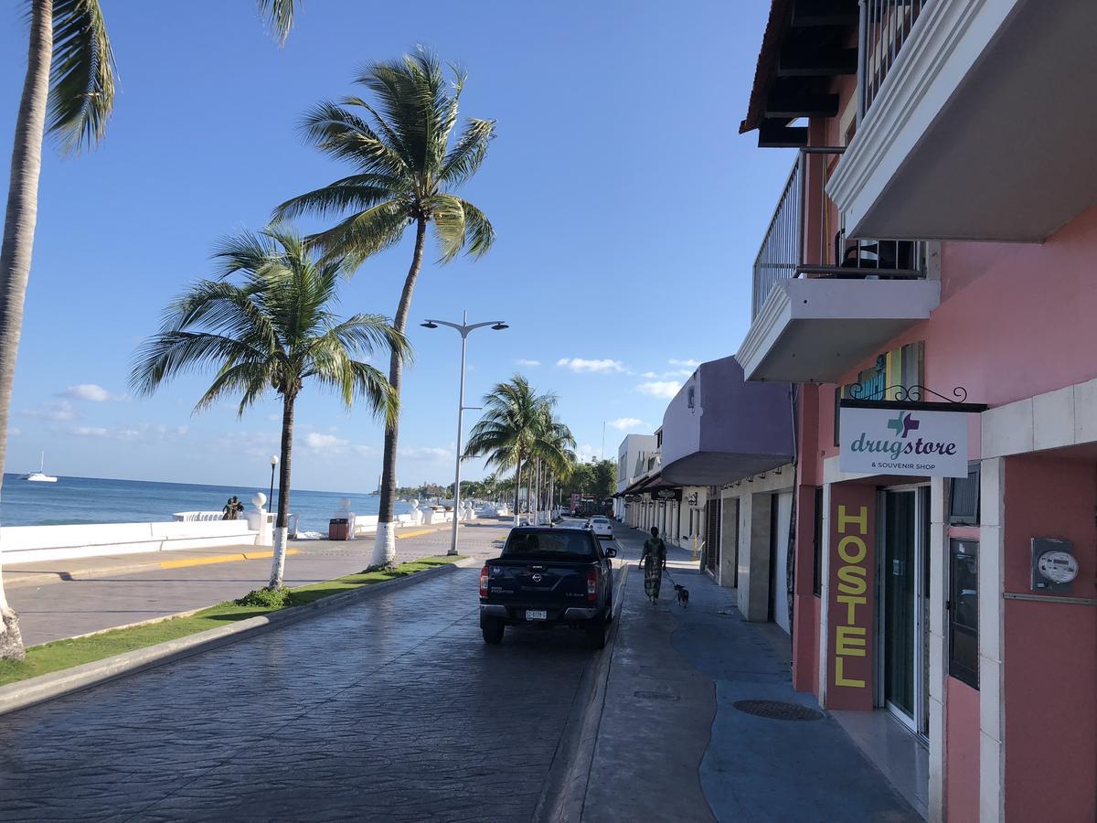 Auberge de jeunesse Hostel Frente Al Mar Tropico 20º *